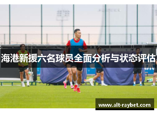 海港新援六名球员全面分析与状态评估