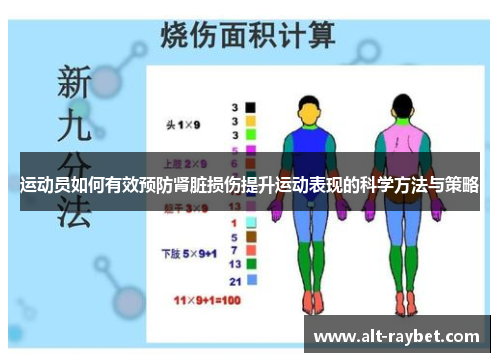 运动员如何有效预防肾脏损伤提升运动表现的科学方法与策略