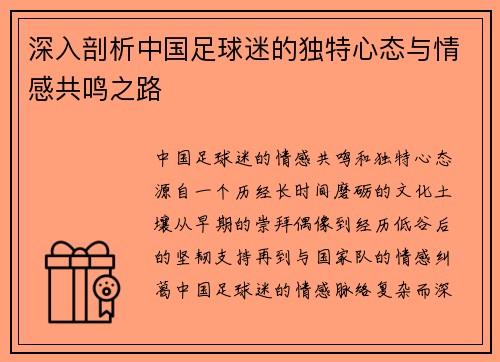 深入剖析中国足球迷的独特心态与情感共鸣之路
