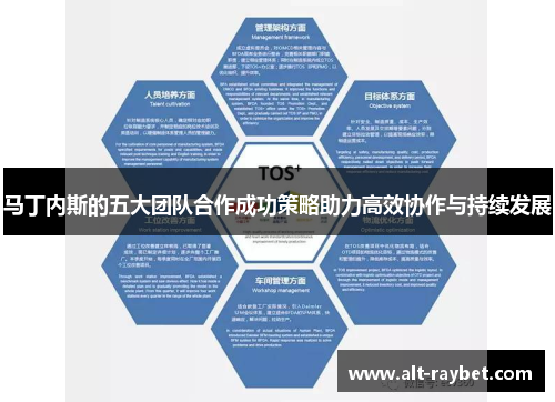 马丁内斯的五大团队合作成功策略助力高效协作与持续发展